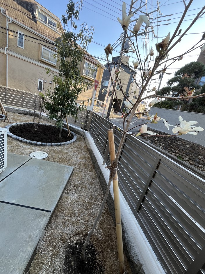 ふじみ野市の外構施工事例｜白い花を咲かせた既存の花木のアップ